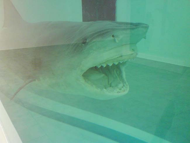 The Art Curator for Kids - 10 Awesome Sharks in Art for Shark Week - Damien Hirst, The Physical Impossibility of Death in the Mind of Someone Living (detail), 1991, Photo Credit-Agent001