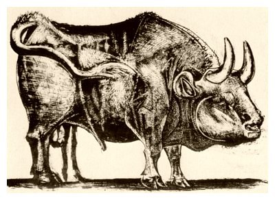 Pablo Picasso, Bull - plate 3, December 18, 1945 - How to Teach Abstract Art